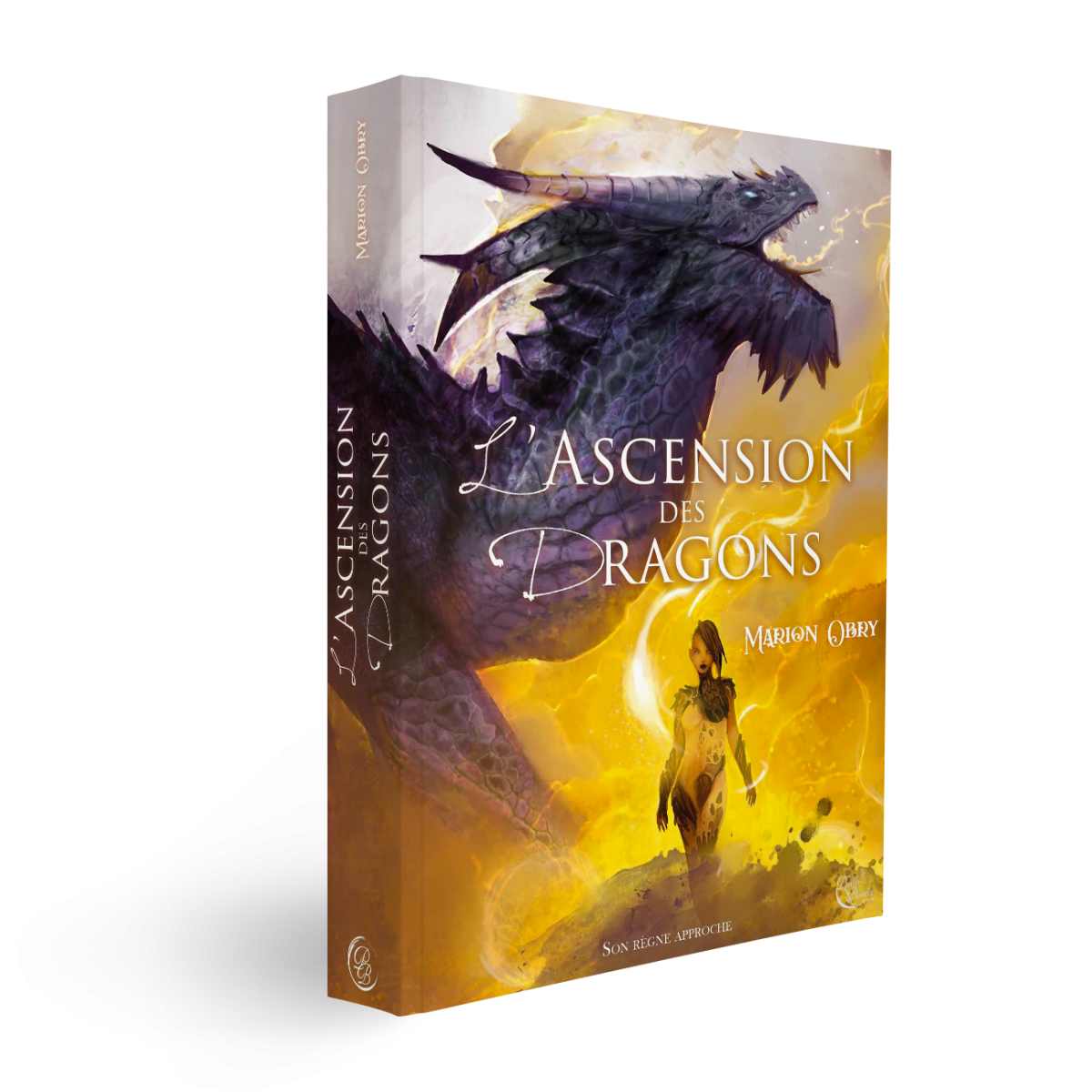 L’Ascension des dragons de Marion Obry